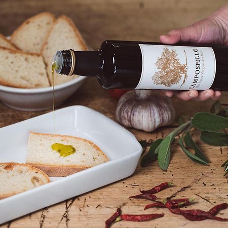 Tenuta Campospillo Magliano in Toscana Eksteriør bilde