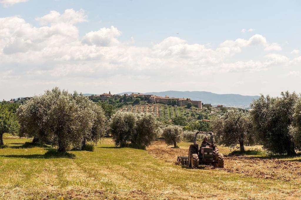 Tenuta Campospillo Magliano in Toscana Eksteriør bilde