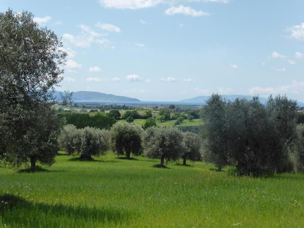 Tenuta Campospillo Magliano in Toscana Eksteriør bilde