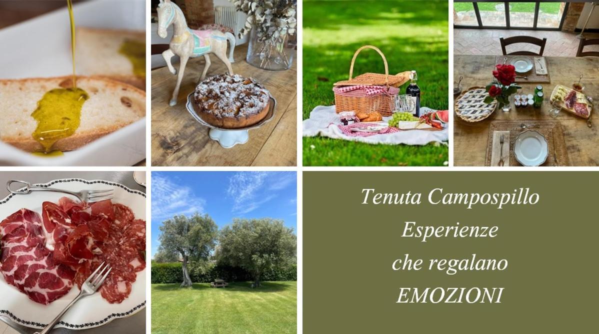 Tenuta Campospillo Magliano in Toscana Eksteriør bilde