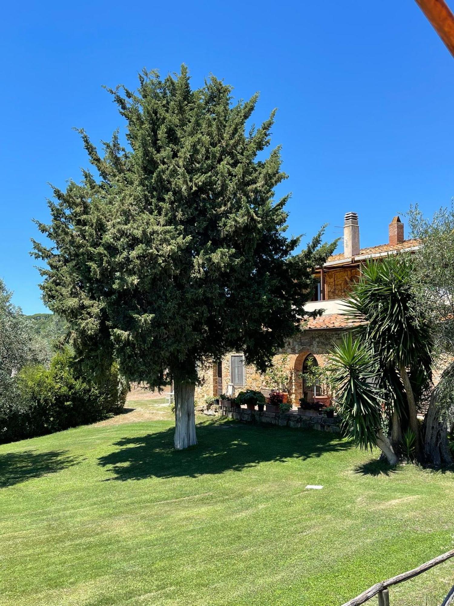 Tenuta Campospillo Magliano in Toscana Eksteriør bilde