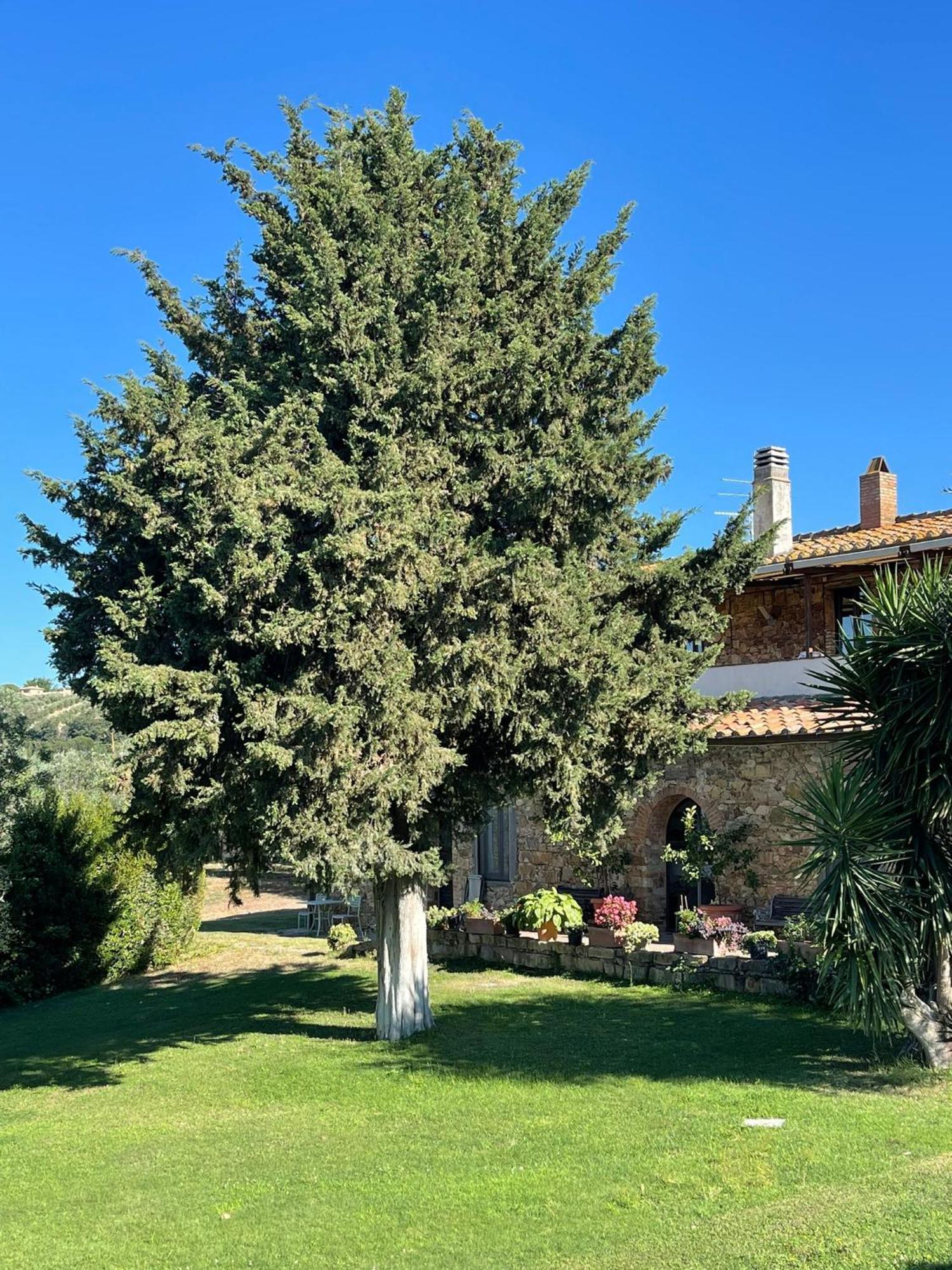 Tenuta Campospillo Magliano in Toscana Eksteriør bilde