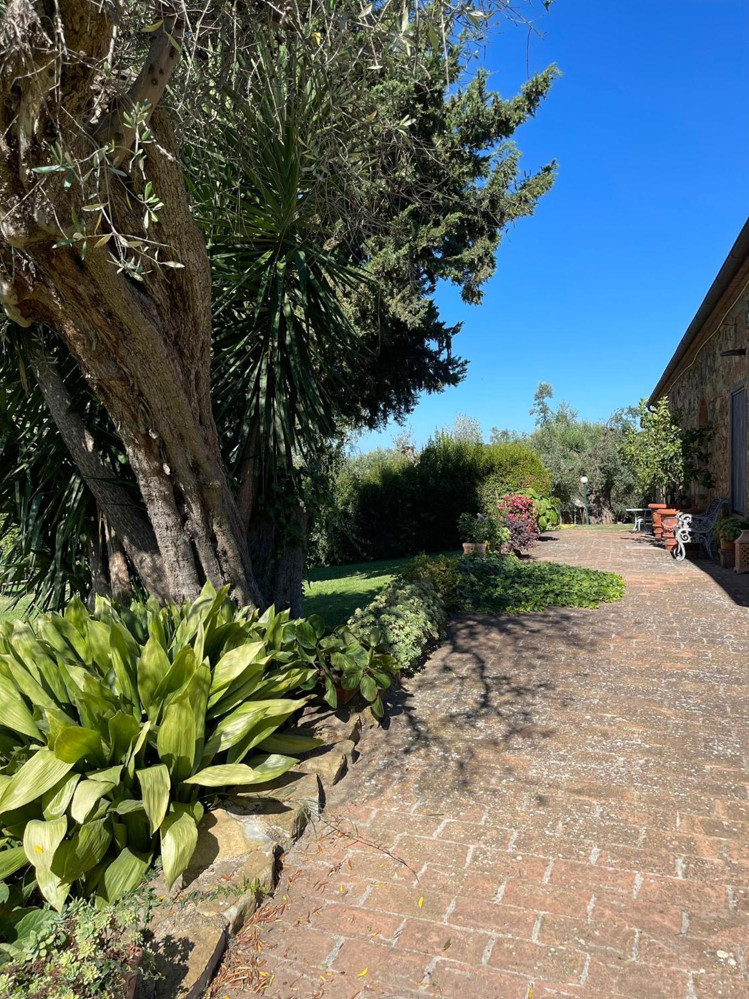 Tenuta Campospillo Magliano in Toscana Eksteriør bilde